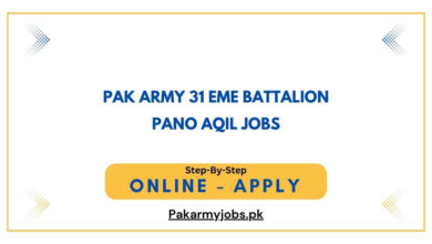 Pak Army 31 EME Battalion Pano Aqil Jobs