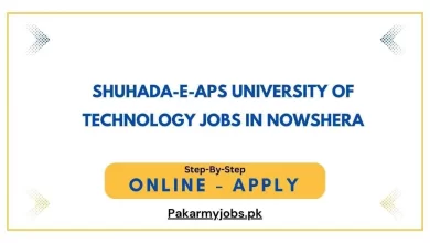 Shuhada-e-APS University of Technology Jobs in Nowshera