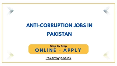 Anti-Corruption Jobs in Pakistan
